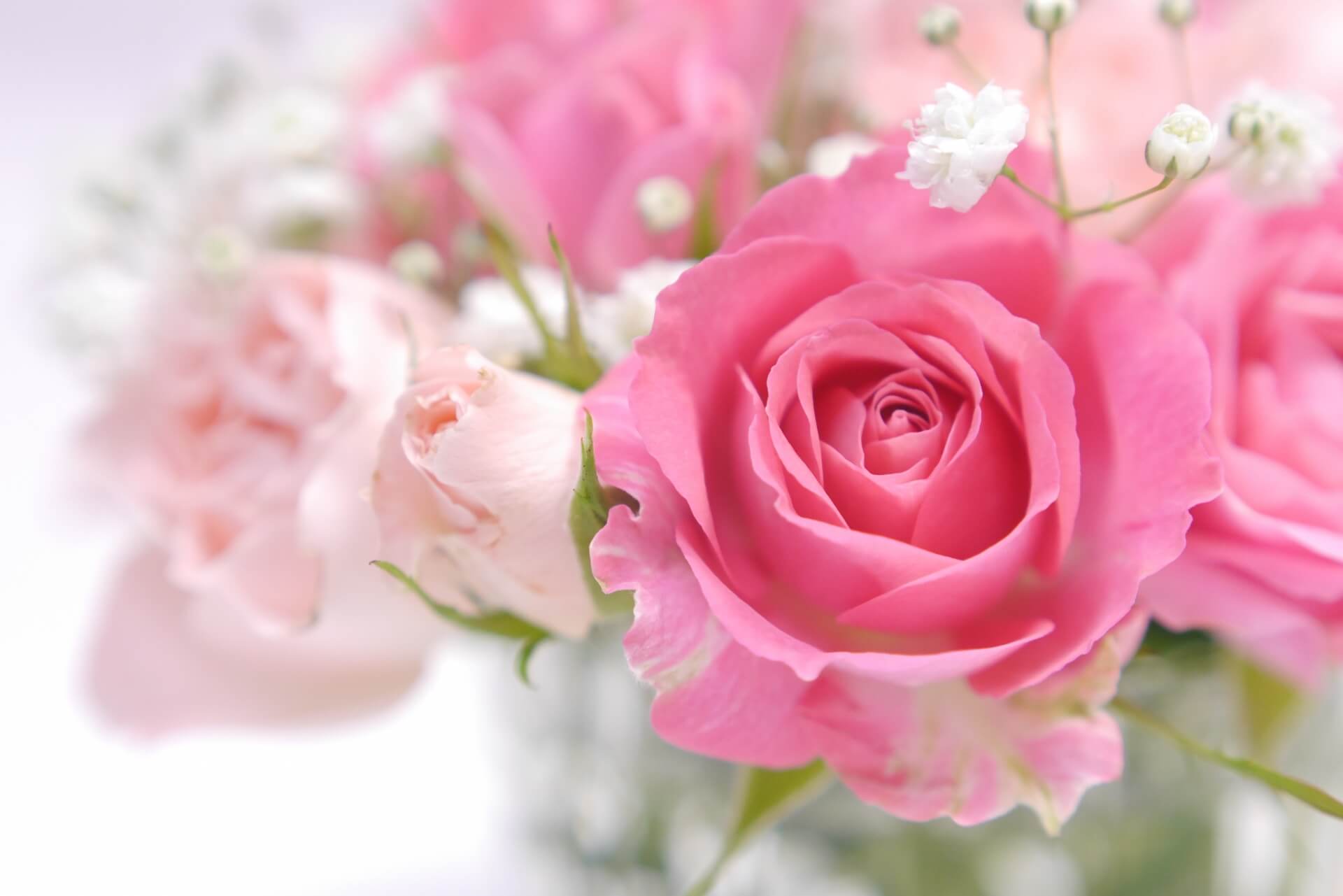 CONCEPTのイメージ